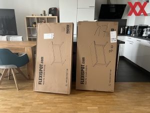 Flexispot EG8W